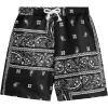 Paisley Black and White