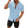 Light Blue and Black