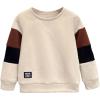 imageSOLY HUX Toddler Boys Color Block Sweatshirt Crew Neck Long Sleeve Letter Patched Pullover Fall TopsMulticoloured Letter